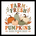 'Farm fresh pumpkins hand picked daily' text in orange, gold, green, brown and red colors, with fall decor and pumpkins, on a white background.