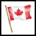 image of a Canadian flag on a brown flagpole, on a white background.