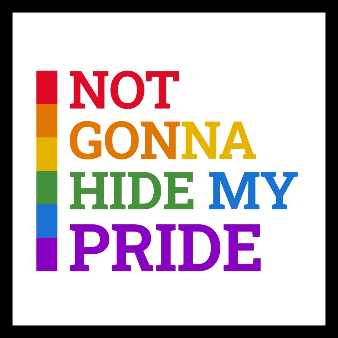 'not gonna hide my pride' in colorful text with a rainbow side banner on the left side on a white background.