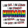 LGBTQ+ pride flag with black and multi-colored text stating 'I am human' and rejecting stereotypes, on a white background.