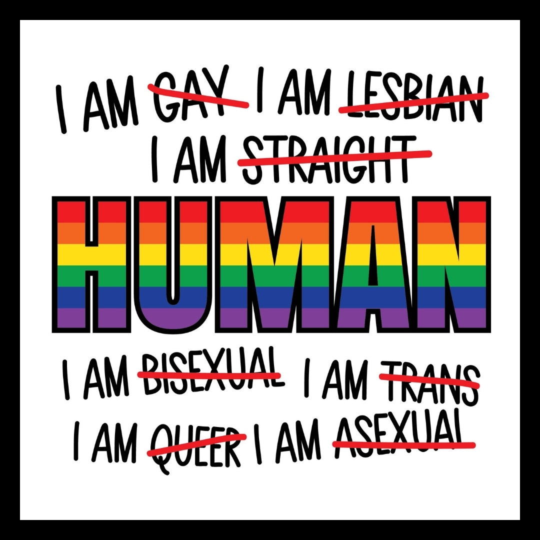 LGBTQ+ pride flag with black and multi-colored text stating 'I am human' and rejecting stereotypes, on a white background.