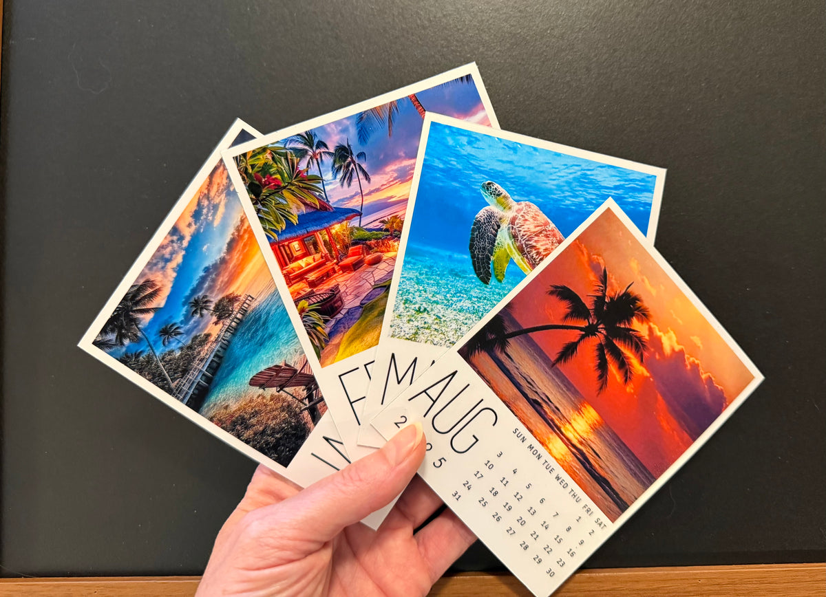 Hand holding a small magnetic photo calendars with tropical scenery, photographed on a dark surface